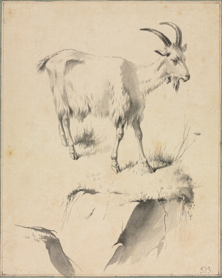 Study of a Goat — Jean Jacques de Boissieu