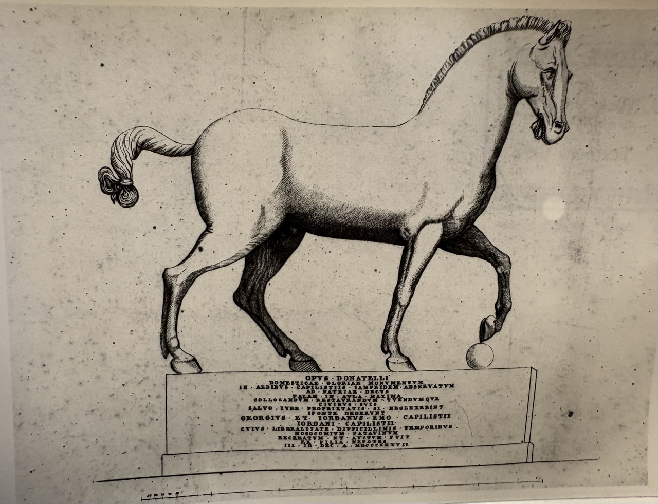 Cavallo ligneo a Palazzo della Ragione a Padova (Italia) — Unbekannter Künstler