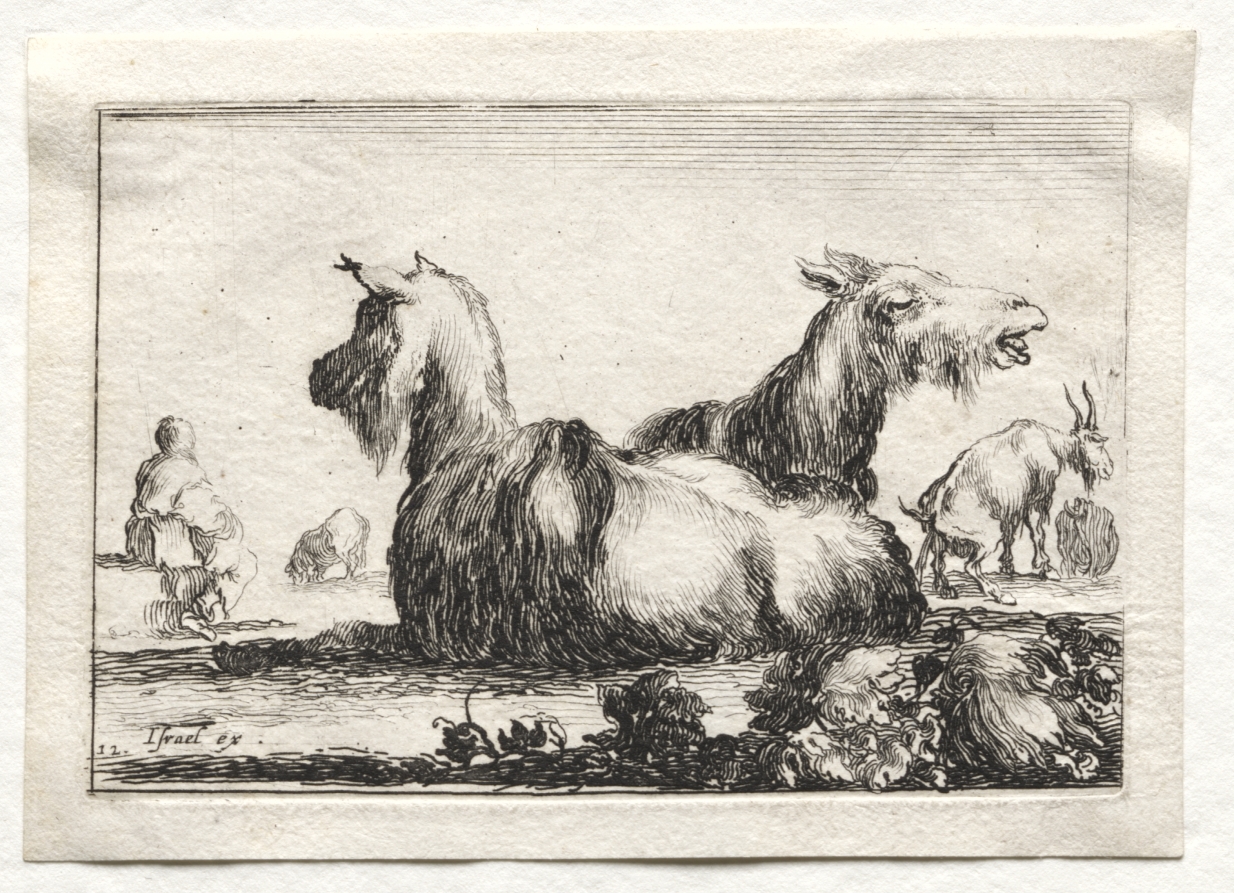 Caprices:  Two Goats — Stefano Della Bella