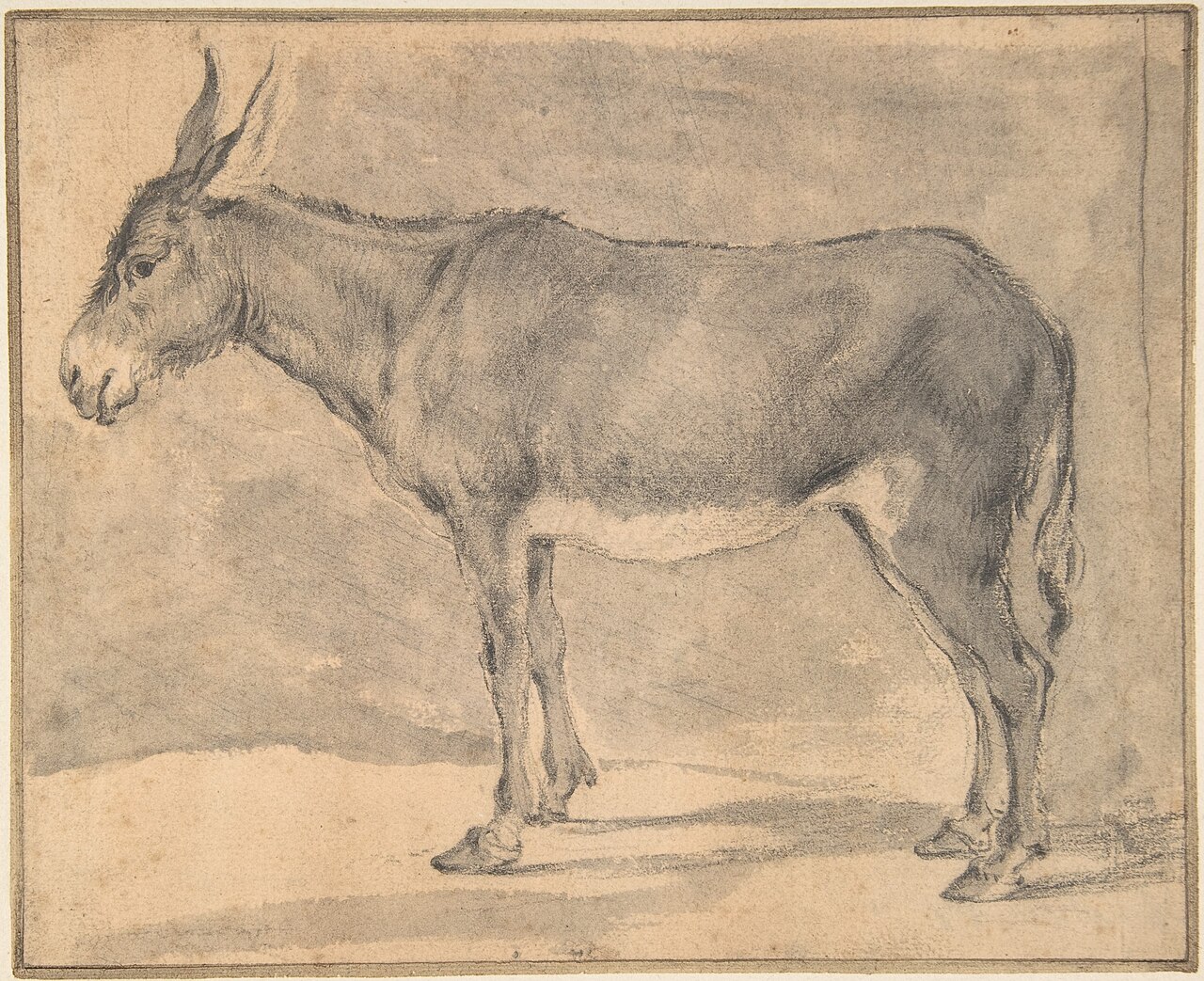 Donkey MET DP800454 — Pieter van Laer