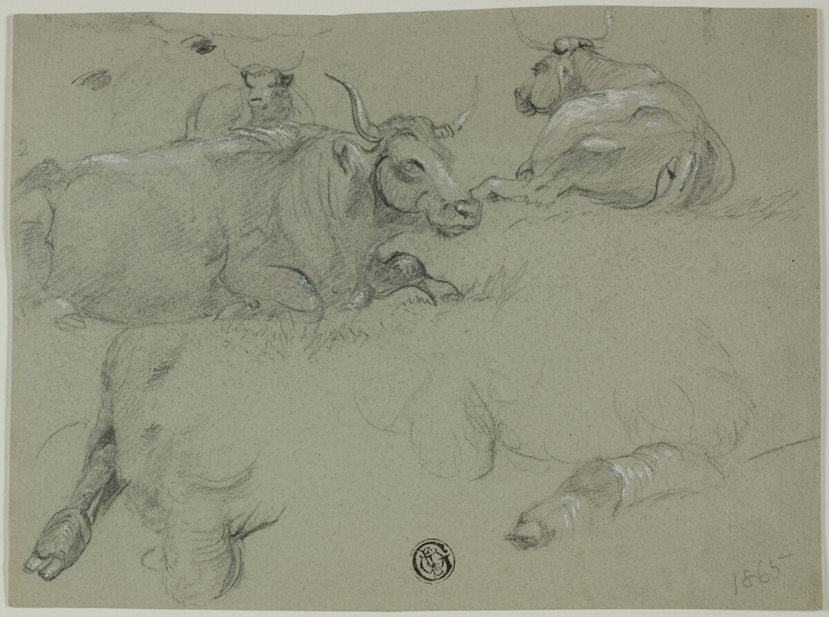 Sketches of Cows — Rosa Bonheur