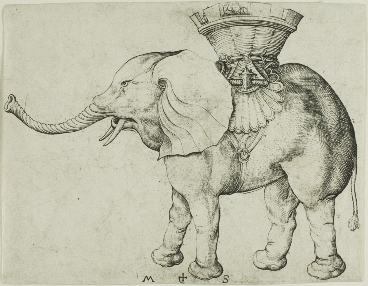 The Elephant — Martin Schongauer
