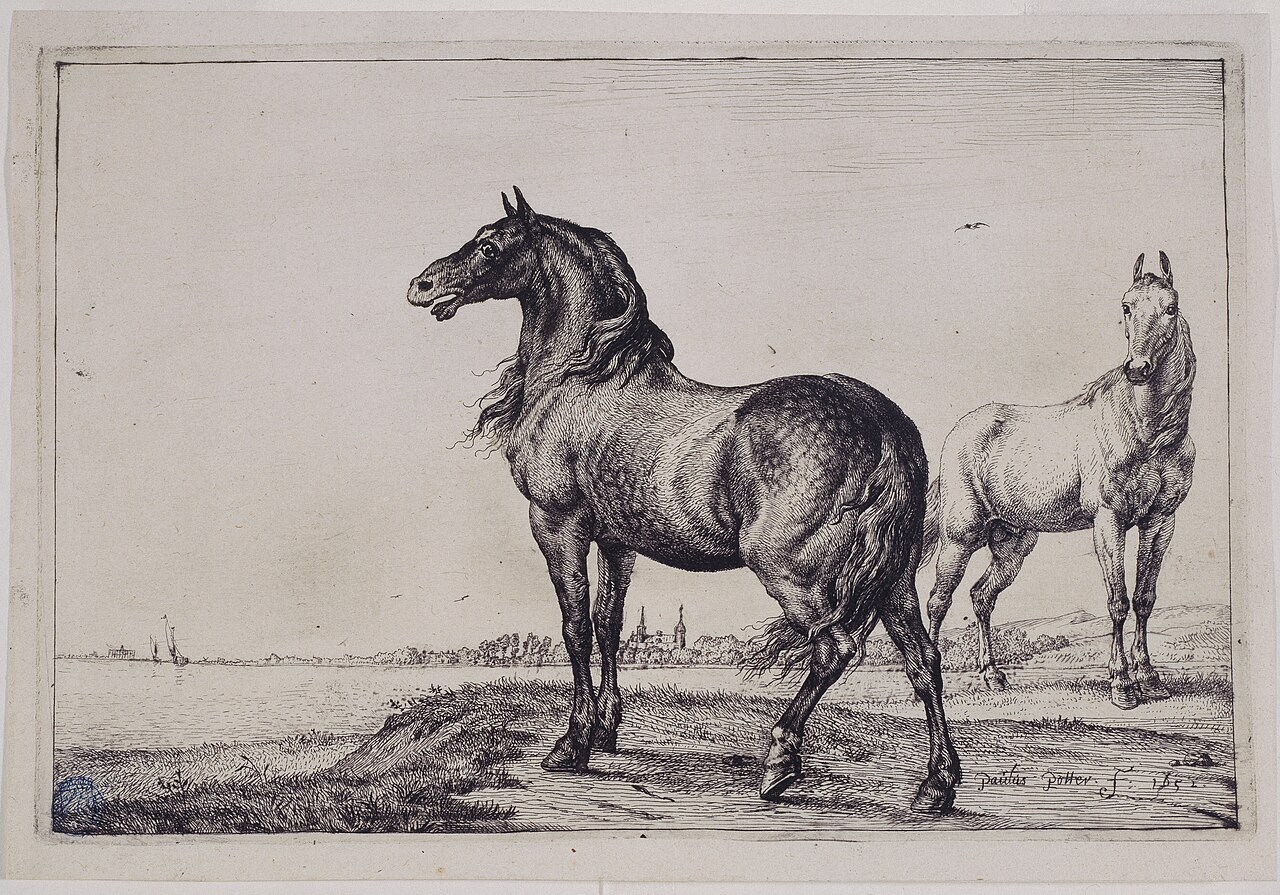 Le cheval hennissant (Bartsch 10), GDUT7607 — Paul Potter