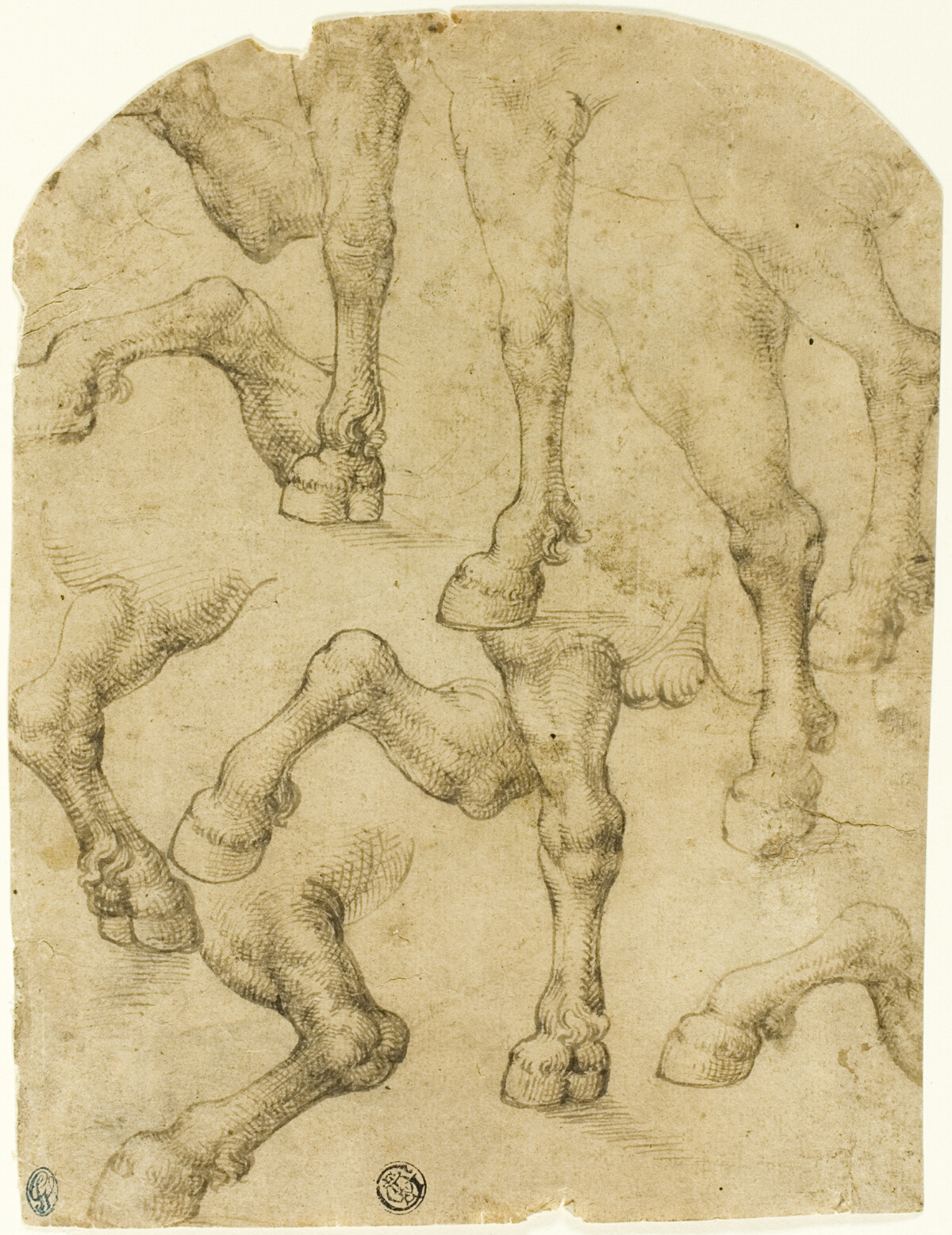 Sketches of Horses' (or Dromedaries') Legs (recto); Columns (verso) — Follower of Leonardo da Vinci