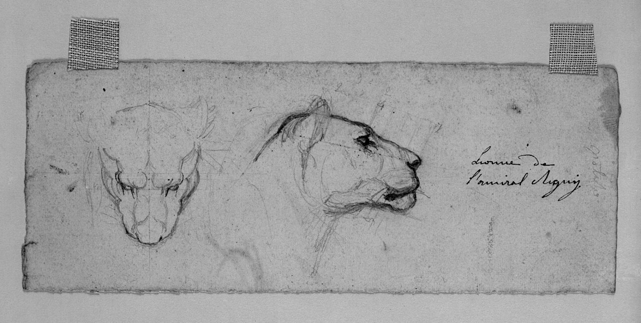 Antoine-Louis Barye - Sketches of Head of Lioness - Walters 372218 — Antoine-Louis Barye