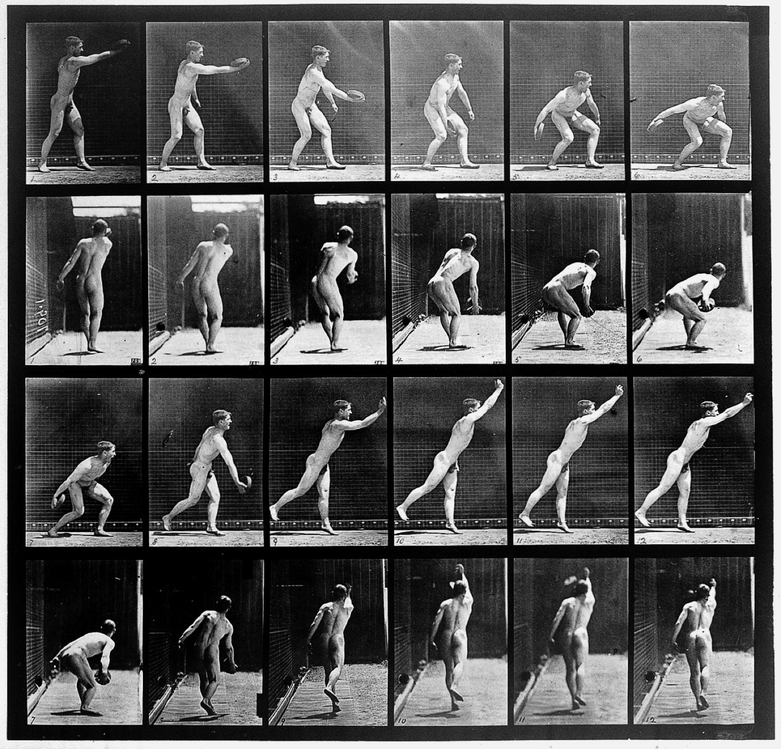 E. Muybridge "Animal locomotion", plate Wellcome L0018591 — Unknown artist