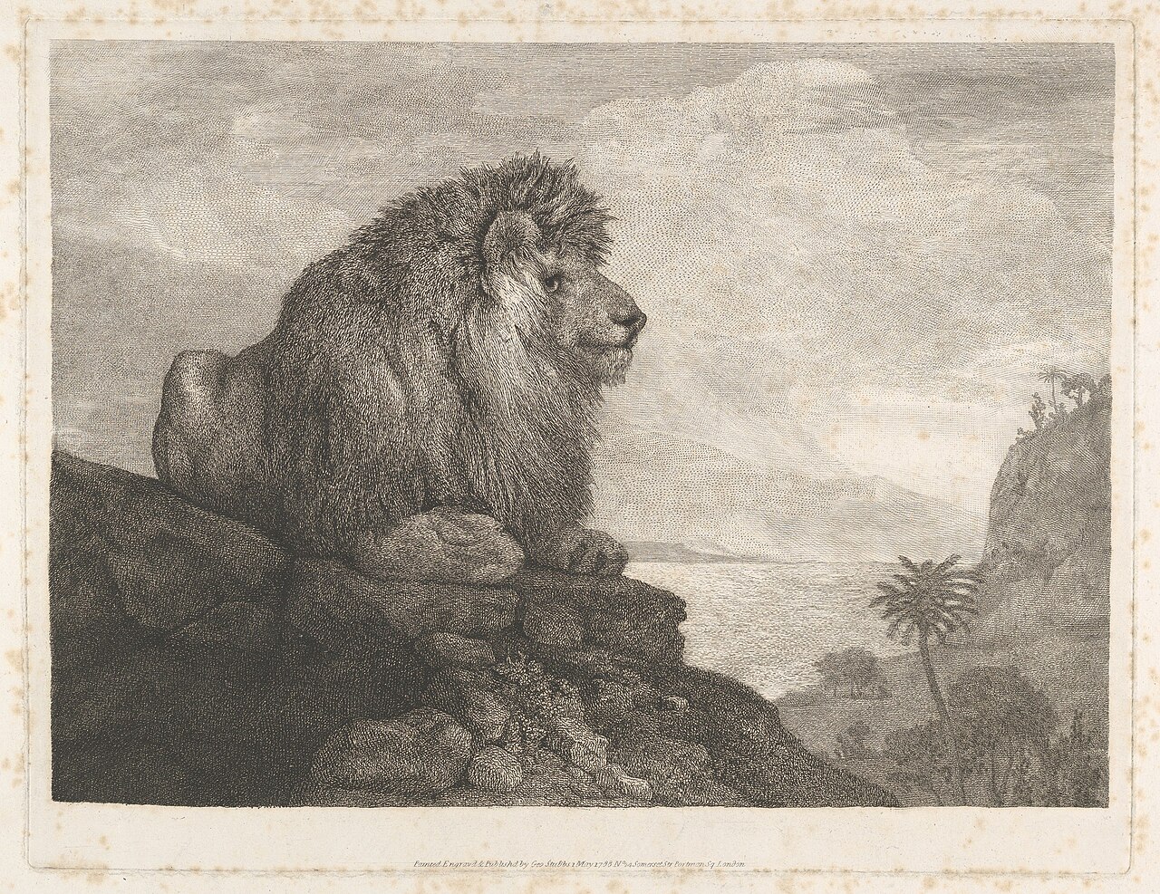 A Lion (A Lion Resting on a Rock) MET DP833337 — George Stubbs