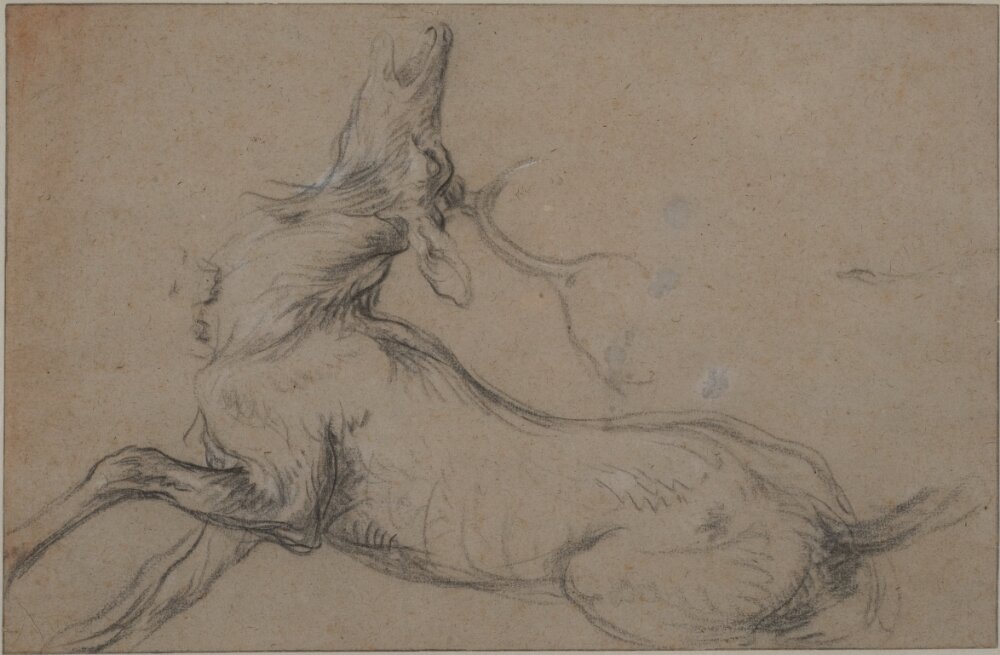 Frans Snyders - Study of a Stag at Bay - NMH 388-1988 - Nationalmuseum — Frans Snyders