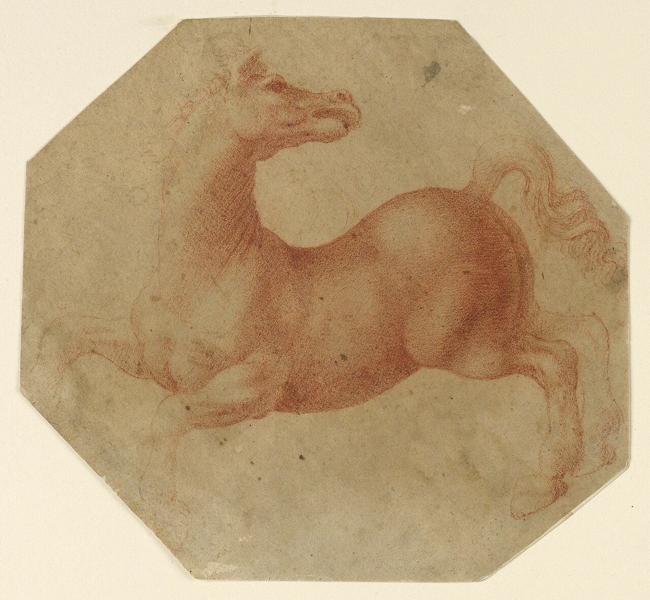 Drawing, Study of a Rearing Horse after Leonardo da Vinci, ca. 1520–25 (CH 18351271) — Artista ignoto