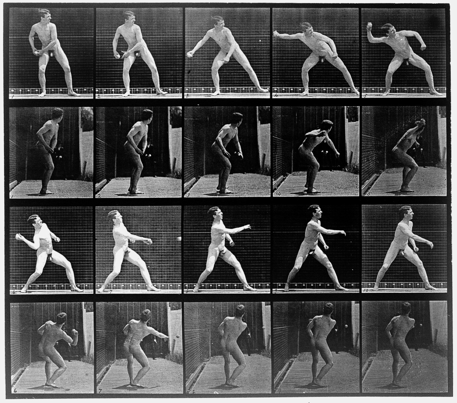 E. Muybridge "Animal locomotion", plate Wellcome L0018588 — Unknown artist