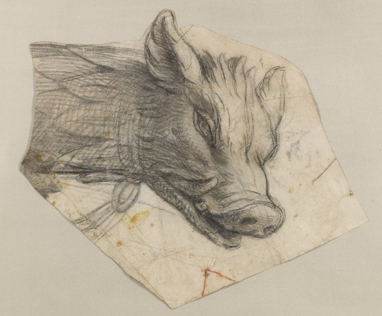 Charles Le Brun - Study of the head of a boar — Charles Le Brun