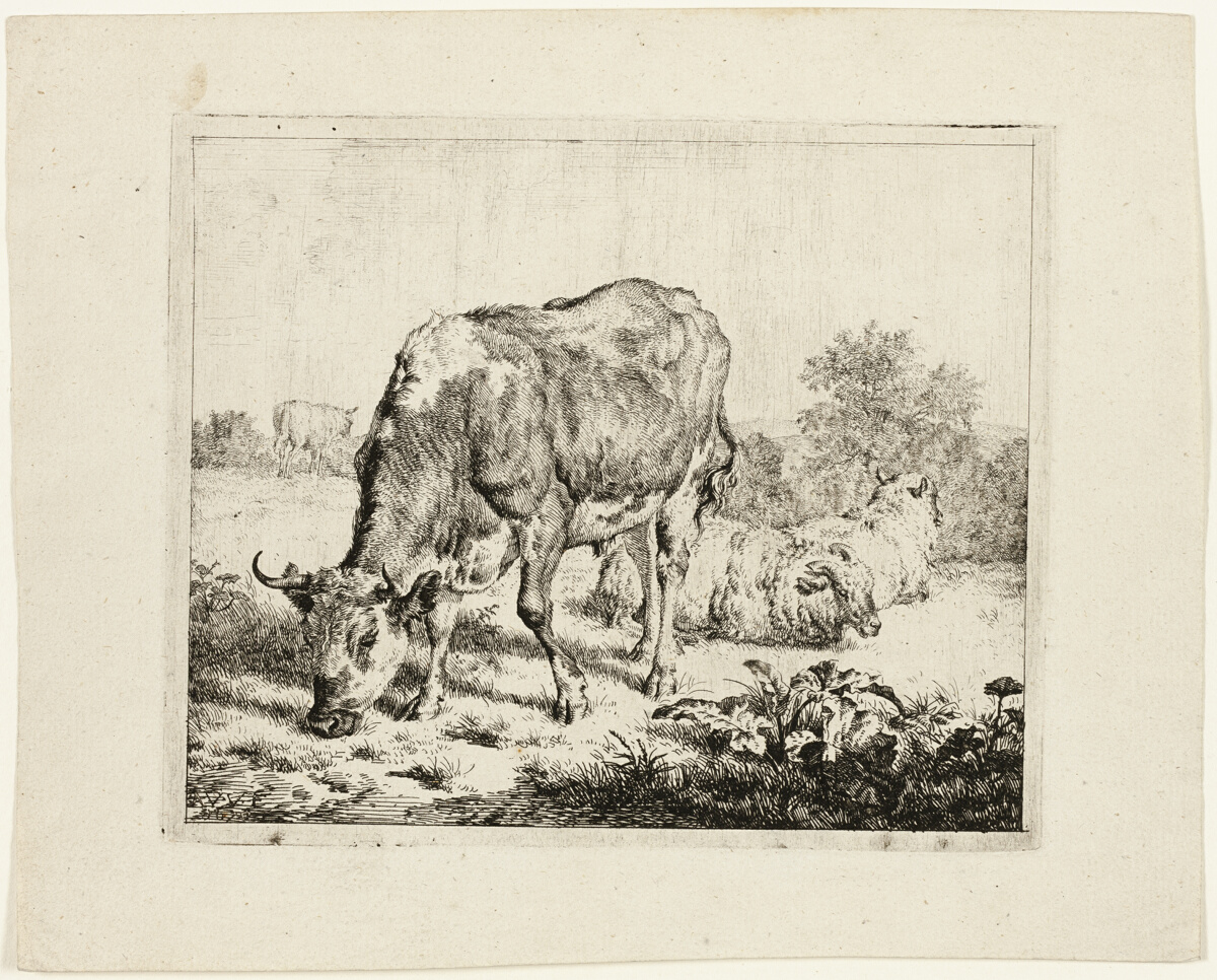 Bull Grazing and Three Sheep — Adriaen van de Velde