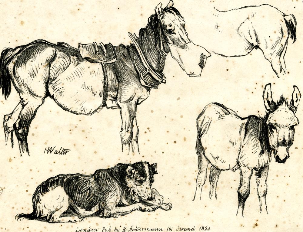 Ackermann's Lithographic Drawing Book (BM 1875,1211.160) — Print made by: Henry Walter Printed by: Charles Joseph Hullmandel Publ