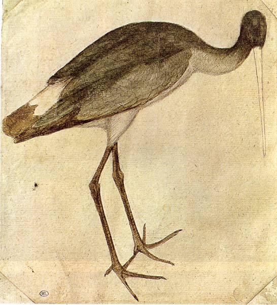 Pisanello - Stork - WGA17861 — Pisanello