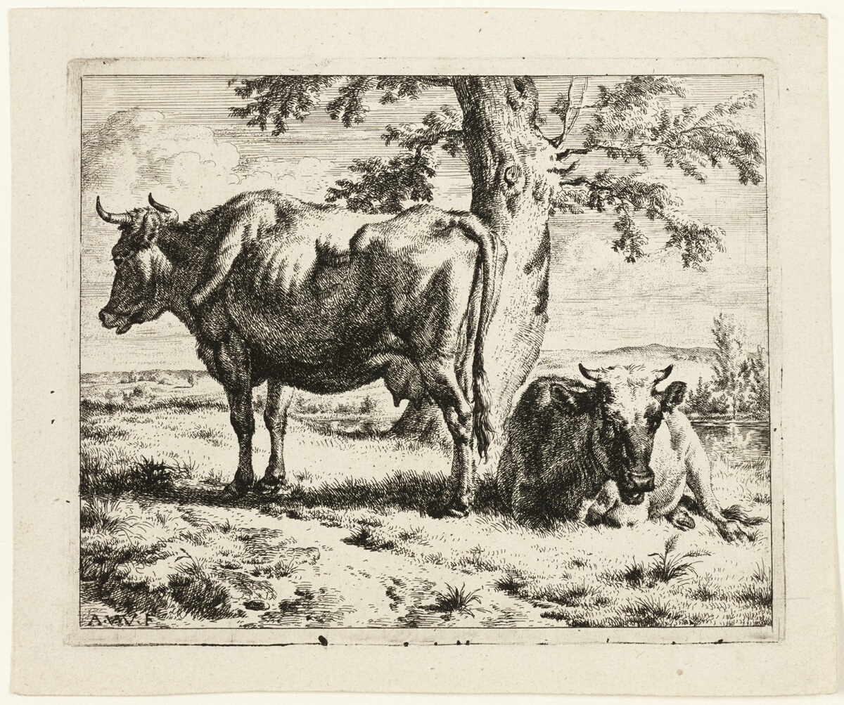 Two Cows under a Tree — Adriaen van de Velde