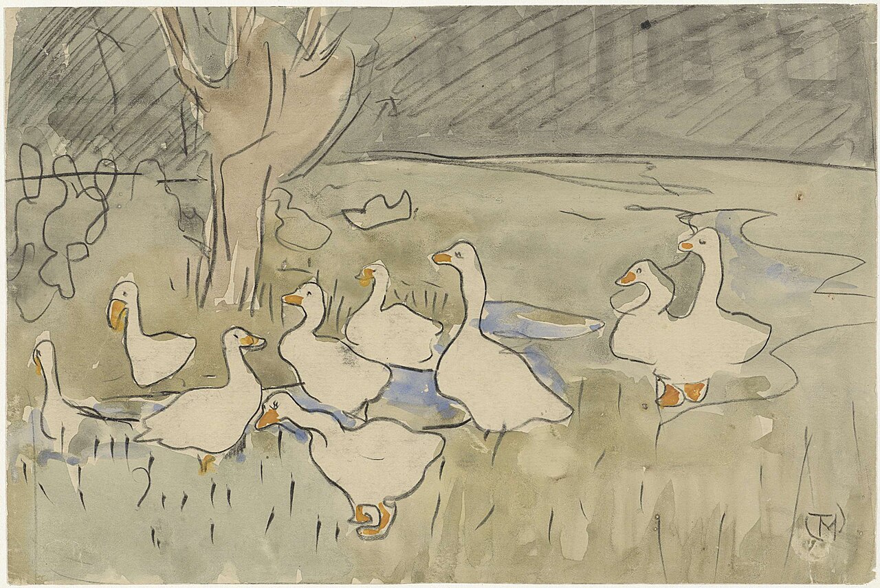 Ducks — Theo van Hoytema