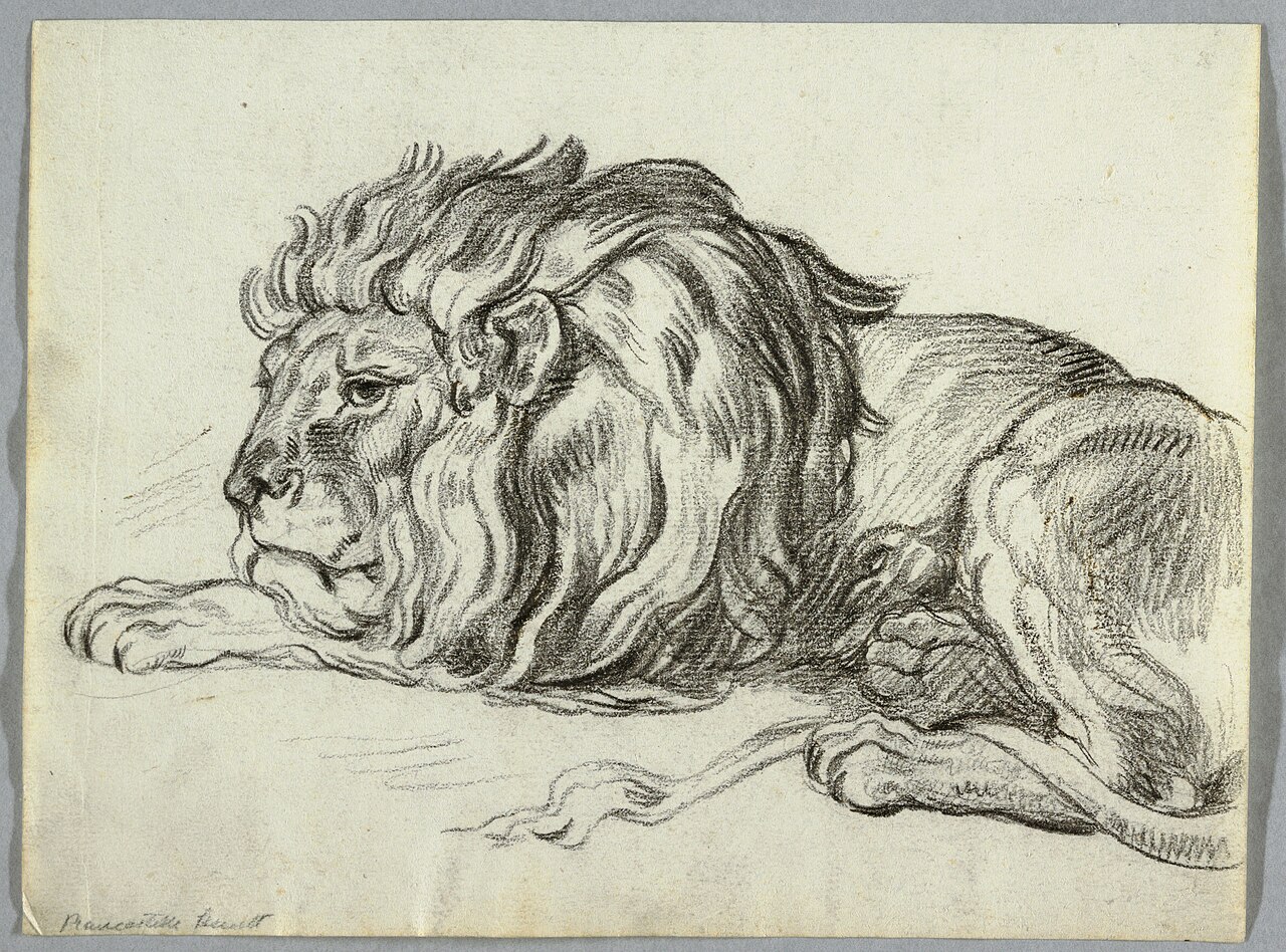 Drawing, Study of a Lion, ca. 1815 (CH 18126575) — Unbekannter Künstler
