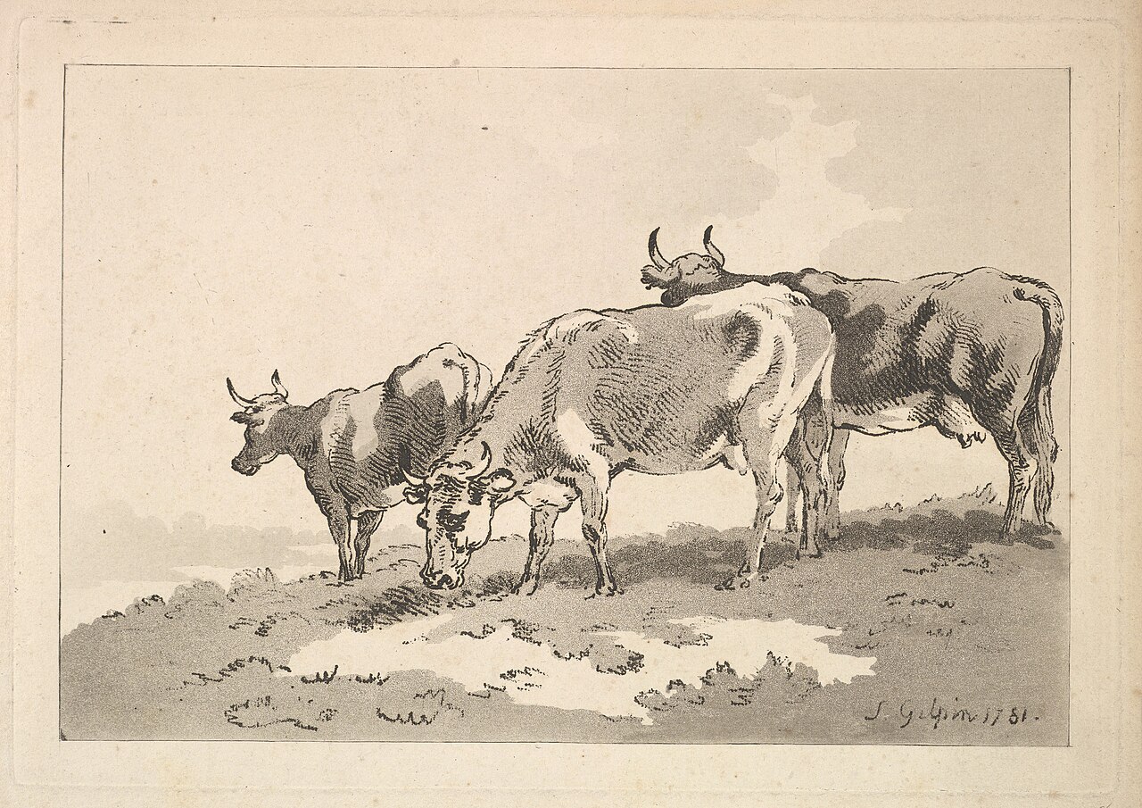 Three Cows Standing on the Ridge of a Field MET DP823322 — Thomas Rowlandson / Sawrey Gilpin