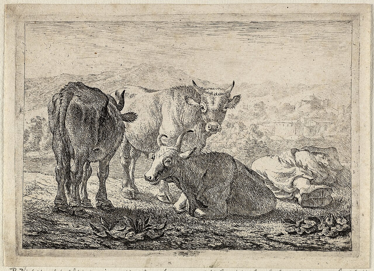 Drie runderen en een slapende herder. NL-HlmNHA 1477 53009534 — Pieter van Laer