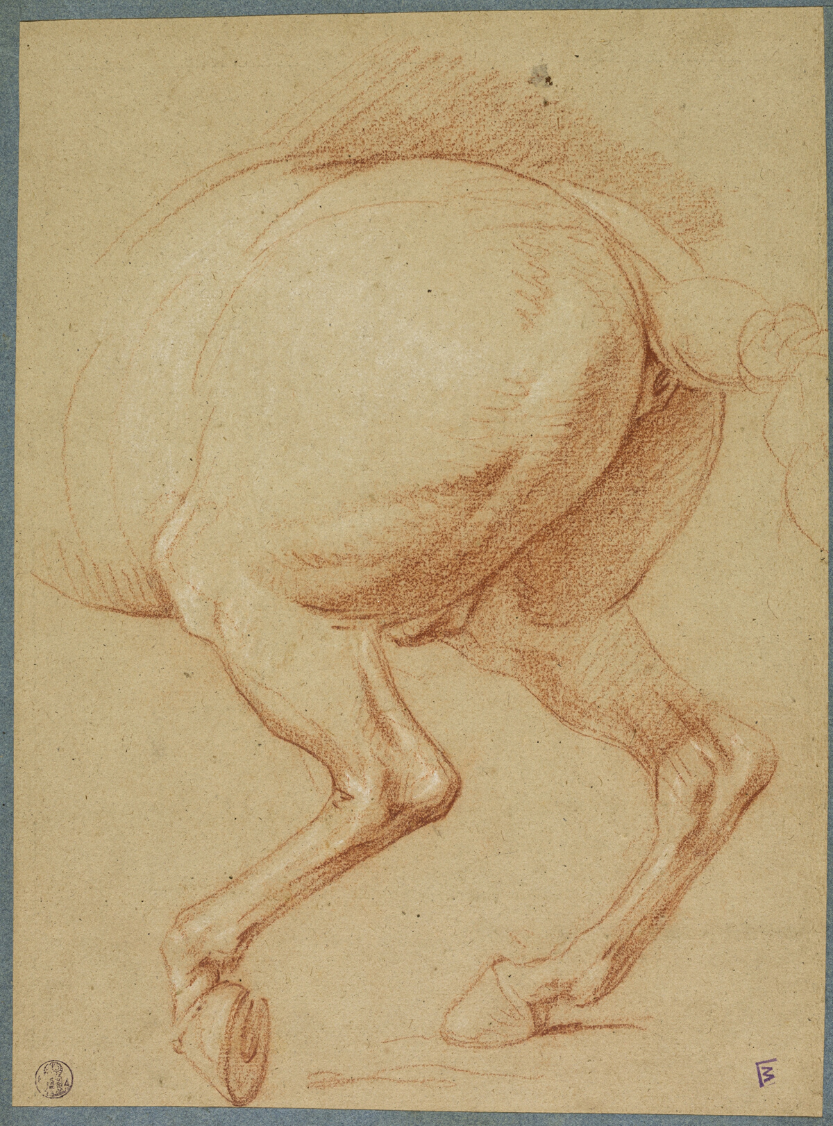 The Hind Legs of a Horse — Charles Le Brun