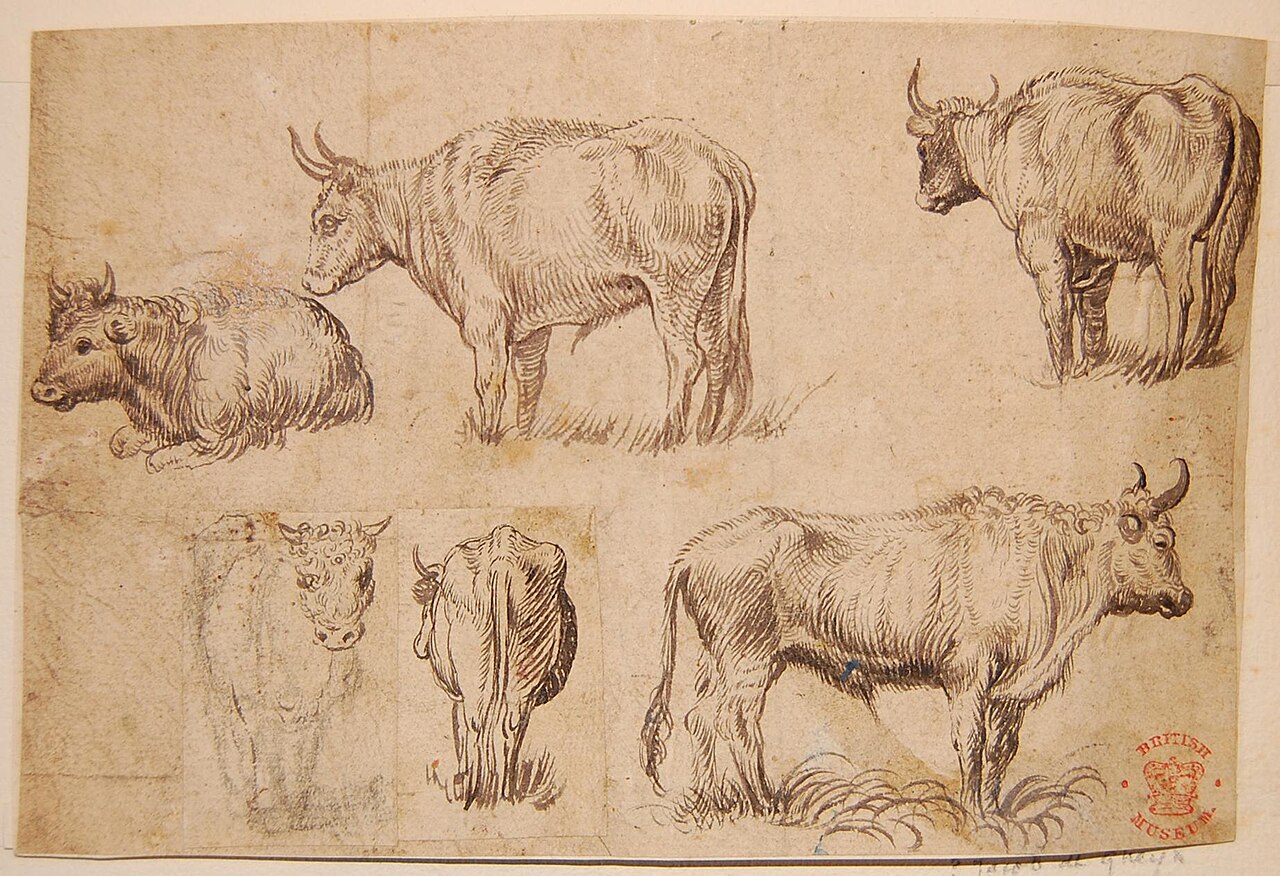 Elsheimer - Formerly attributed to - Six studies of oxen, one of 179 drawings from the 1637 album, SL,5219.118 — Adam Elsheimer