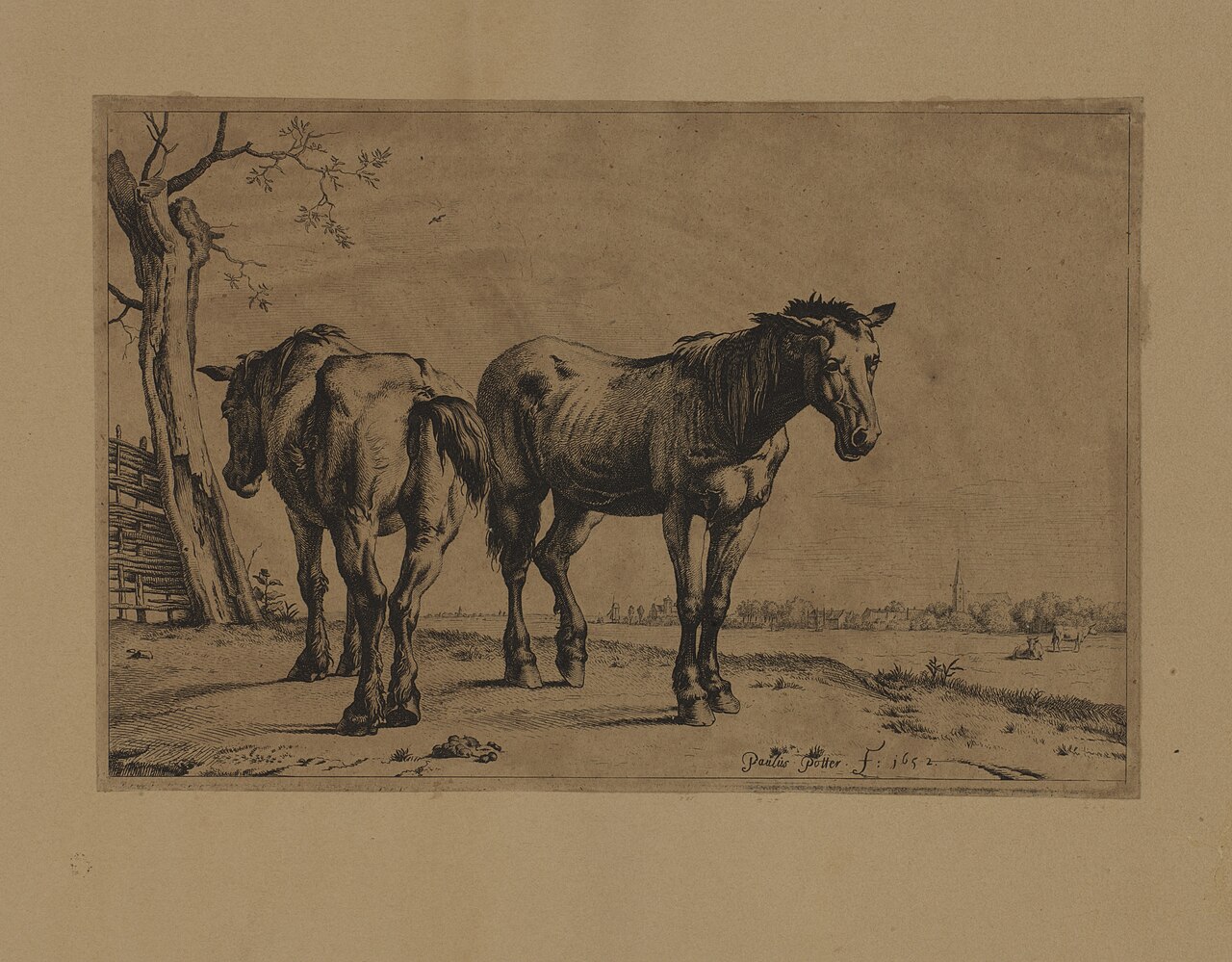 Two Horses SAAM-1967.54.65 1 — Potter, Paulus