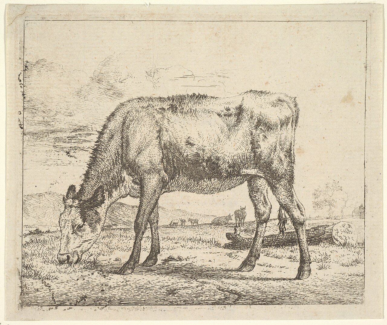 Grazing Calf, from Different Animals MET DP828088 — Adriaen van de Velde
