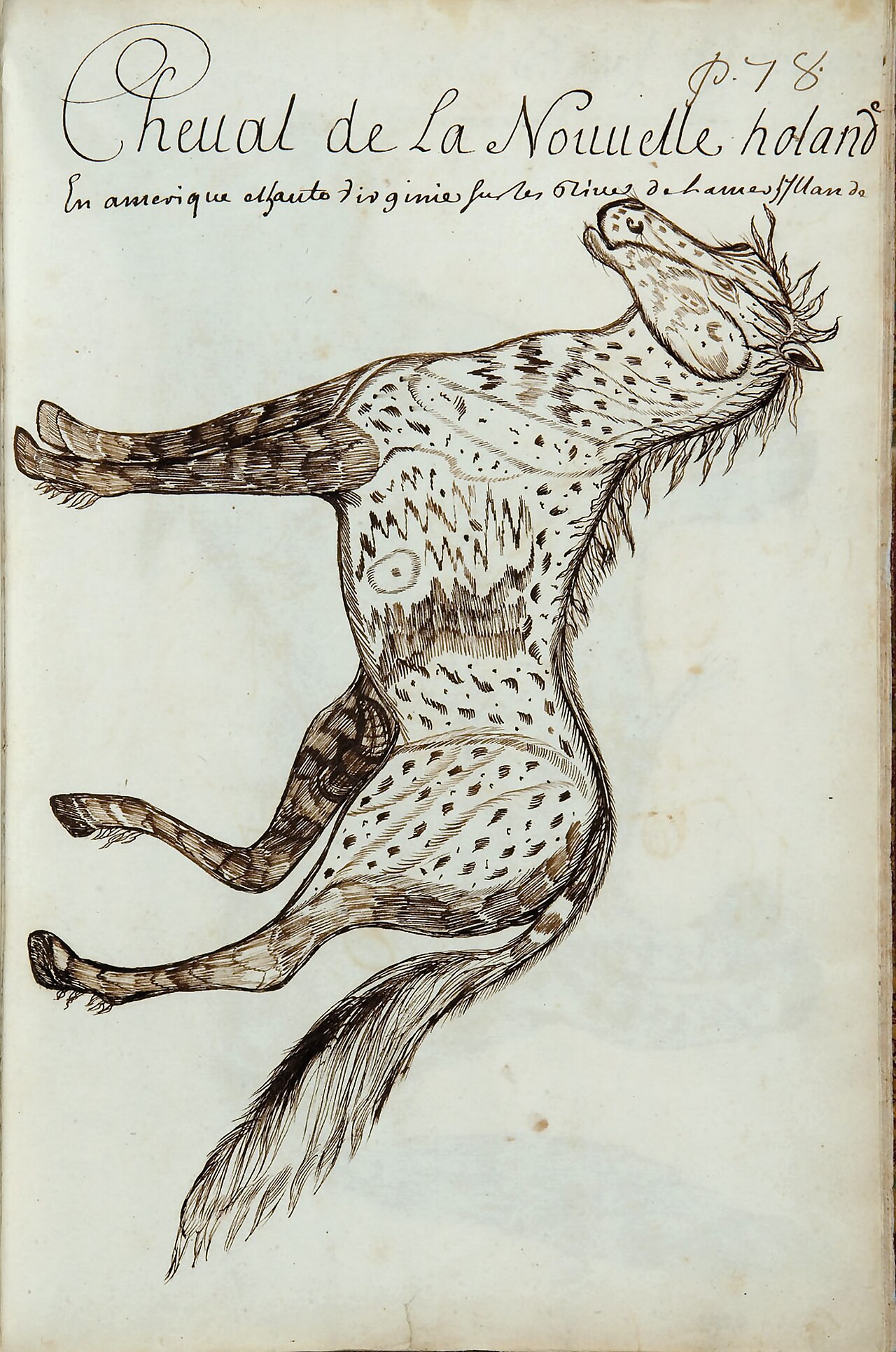 Codex canadensis, p. 78 — Louis Nicolas