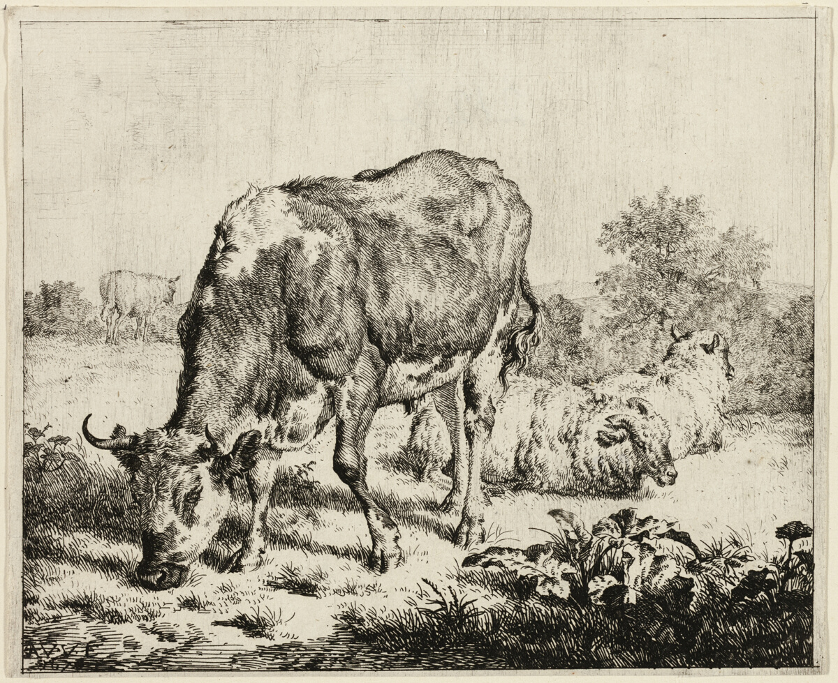 A Cow and Three Sheep — Adriaen van de Velde