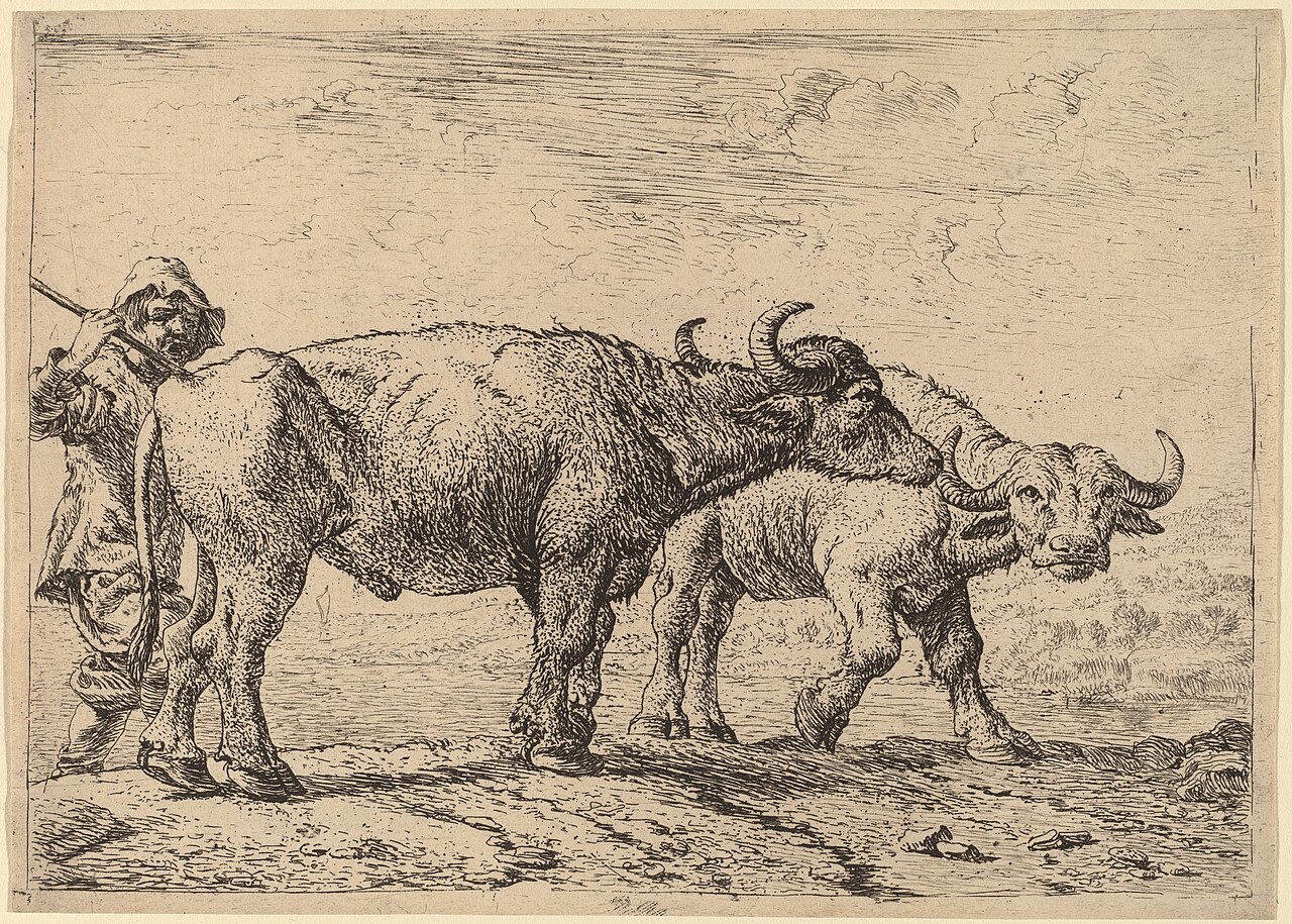 Pieter van Laer, Two Buffaloes and a Herdsman, NGA 60674 — Pieter van Laer