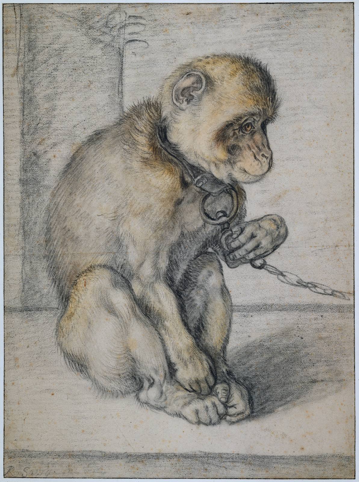 Hendrik Goltzius - Een zittende aap aan een ketting — Hendrik Goltzius