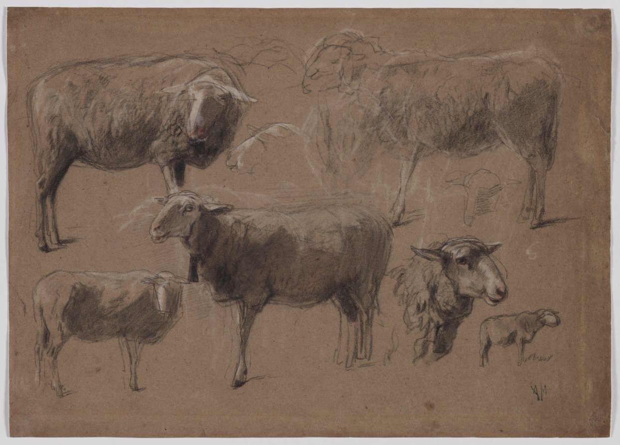 Studies of Sheep — Anton Mauve