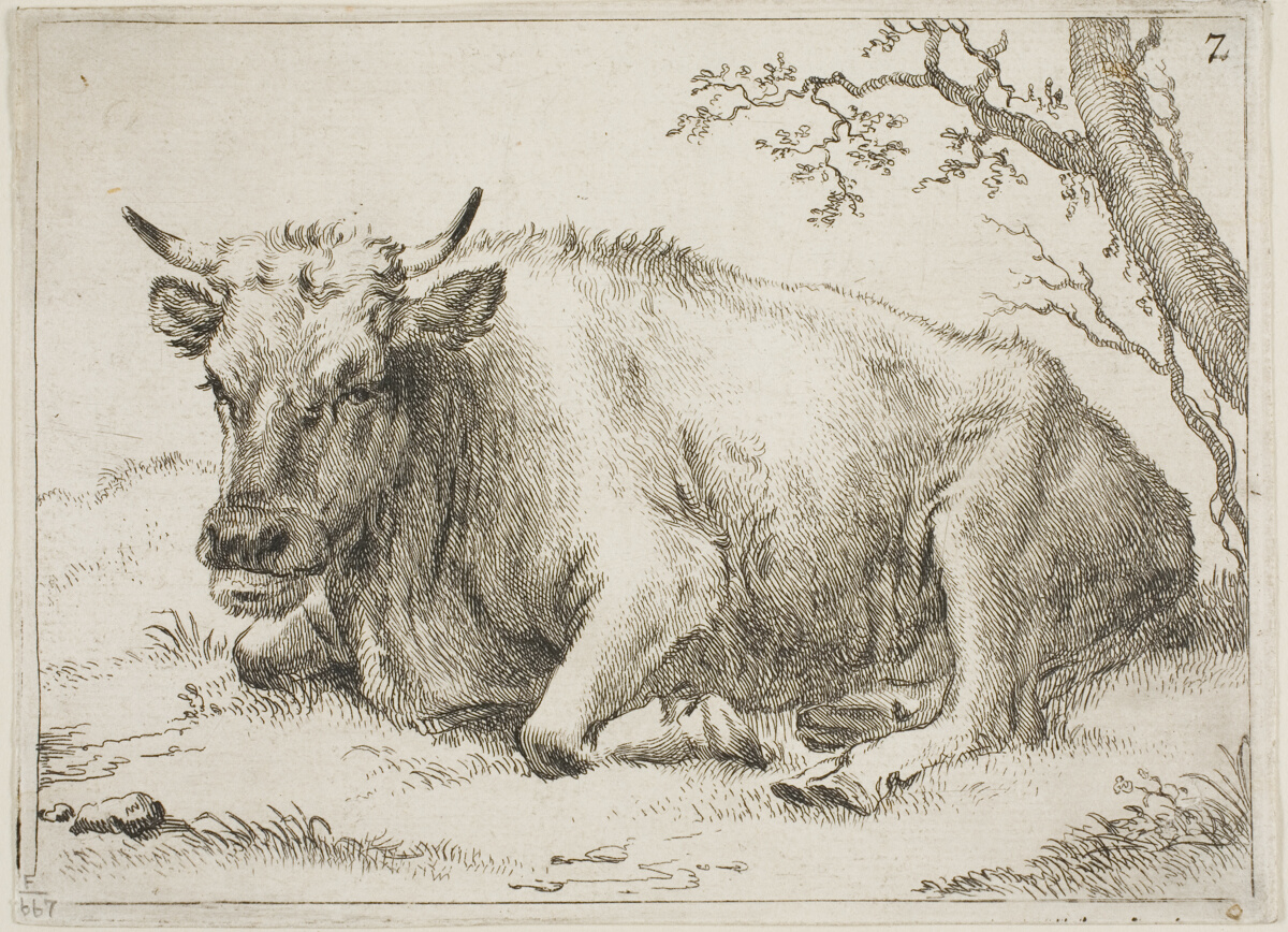 Cow Lying Beside a Tree, plate 7 from Eight Bulls and Cows — Paulus Potter