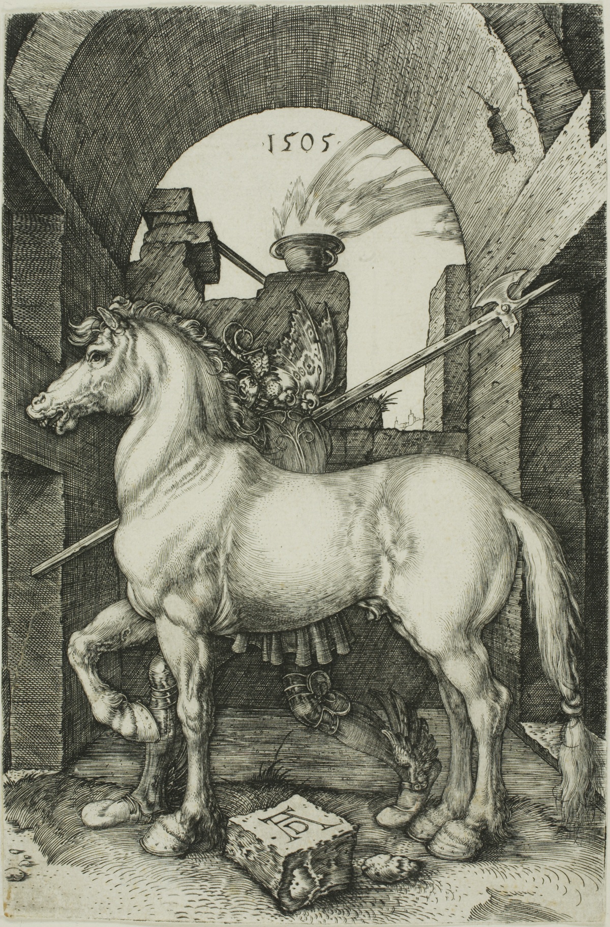 The Small Horse — Albrecht Dürer