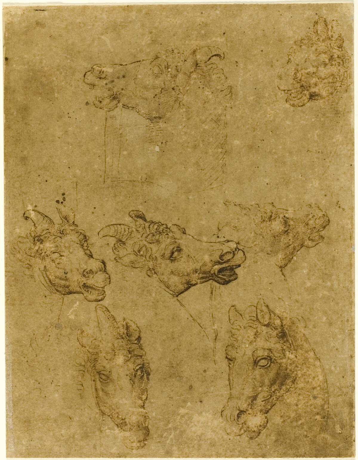 Heads of Horses and Unicorns — Follower of Leonardo da Vinci
