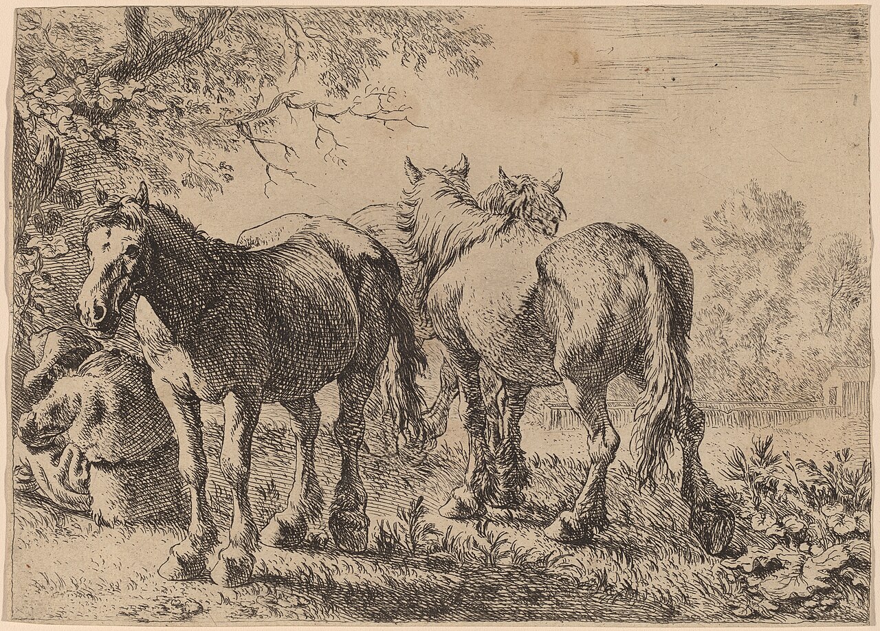Pieter van Laer, Three Horses in a Field, 1636, NGA 70348 — Pieter van Laer
