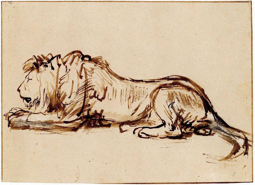 Rembrandt lion asleep, w9590 — Rembrandt
