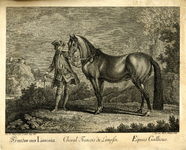 Ridinger-Franzos-aus-Limosin — Martin Elias Ridinger / After Johann Elias Ridinger