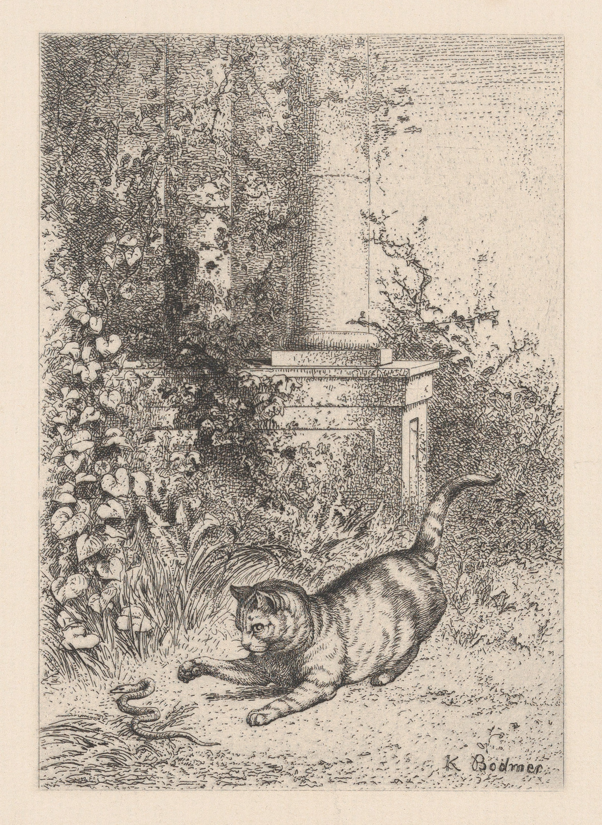 A Domestic Cat Playing with a Garter Snake MET DP874277 — Karl Bodmer / Victor Jacques Bertauts / Géruzet Frères