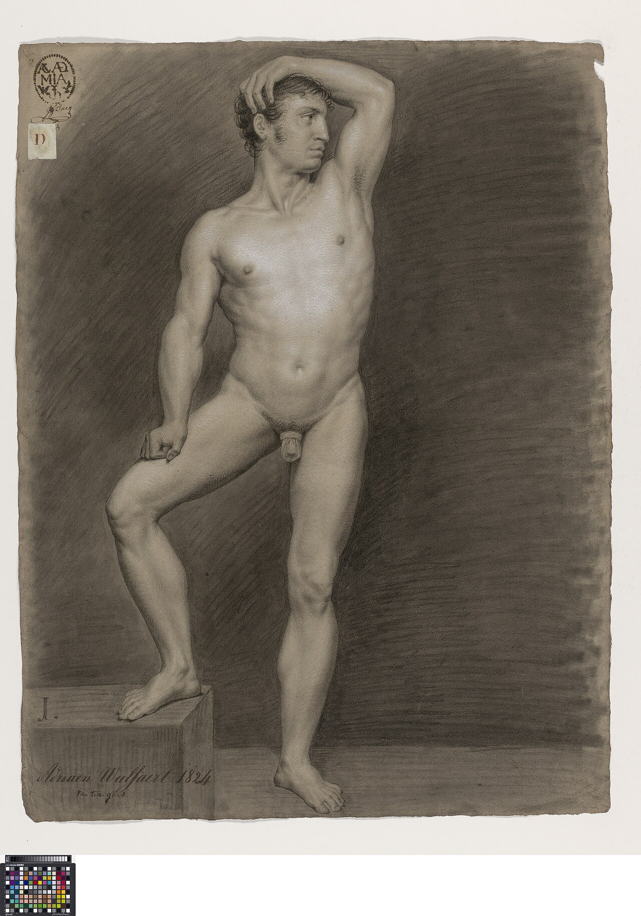 Academische studie naar levend model, staand mannelijk naakt, 1824, Adrianus Wulffaert, Musea Brugge, 0016.GRO0182.II — Adrianus Wulffaert