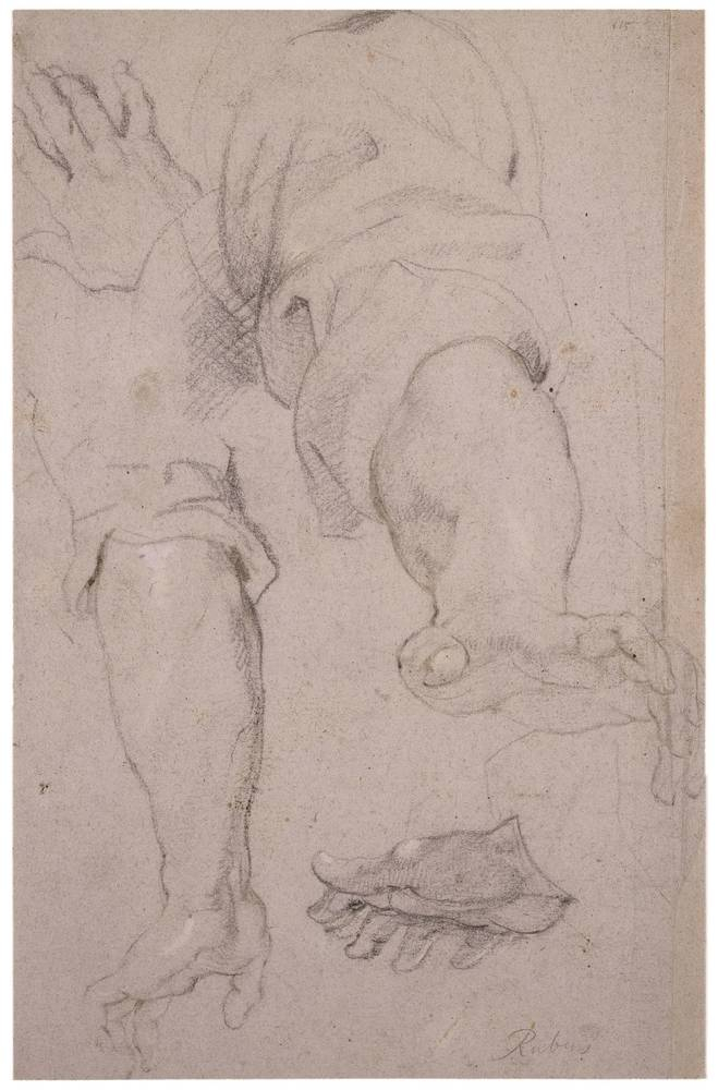 Peter Paul Rubens - Study sheet with arms and hands — Peter Paul Rubens