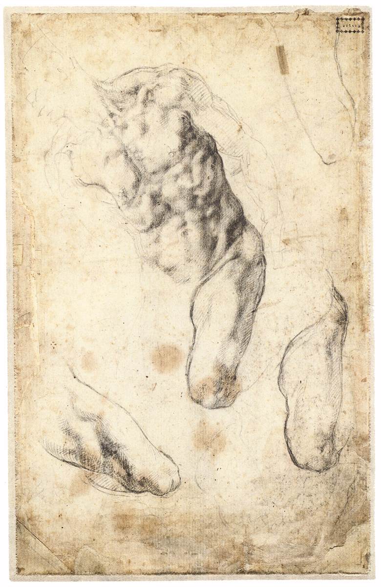 Michelangelo - Studies of a Male Torso and Left Leg (verso), 1519-21 — Michelangelo