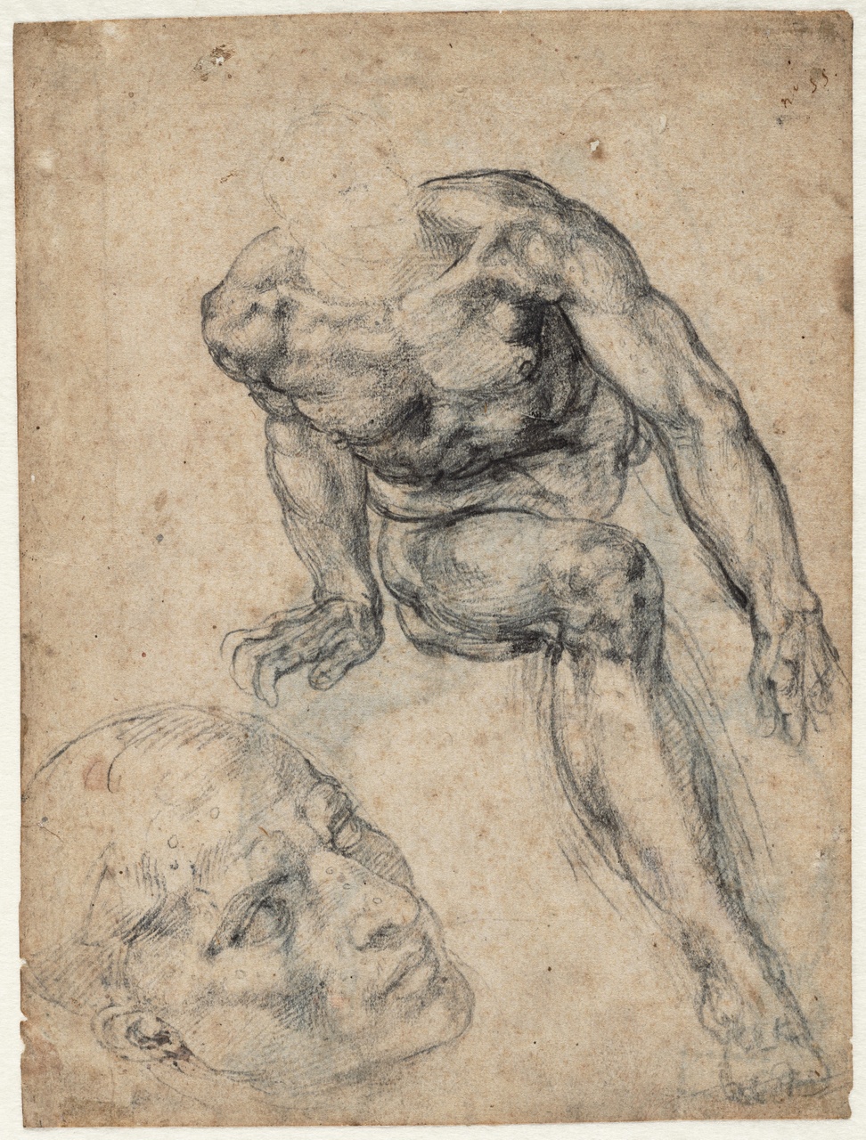 Michelangelo - Study of a seated male nude and of a head for the Sistine Chapel, A 023 recto — Michelangelo