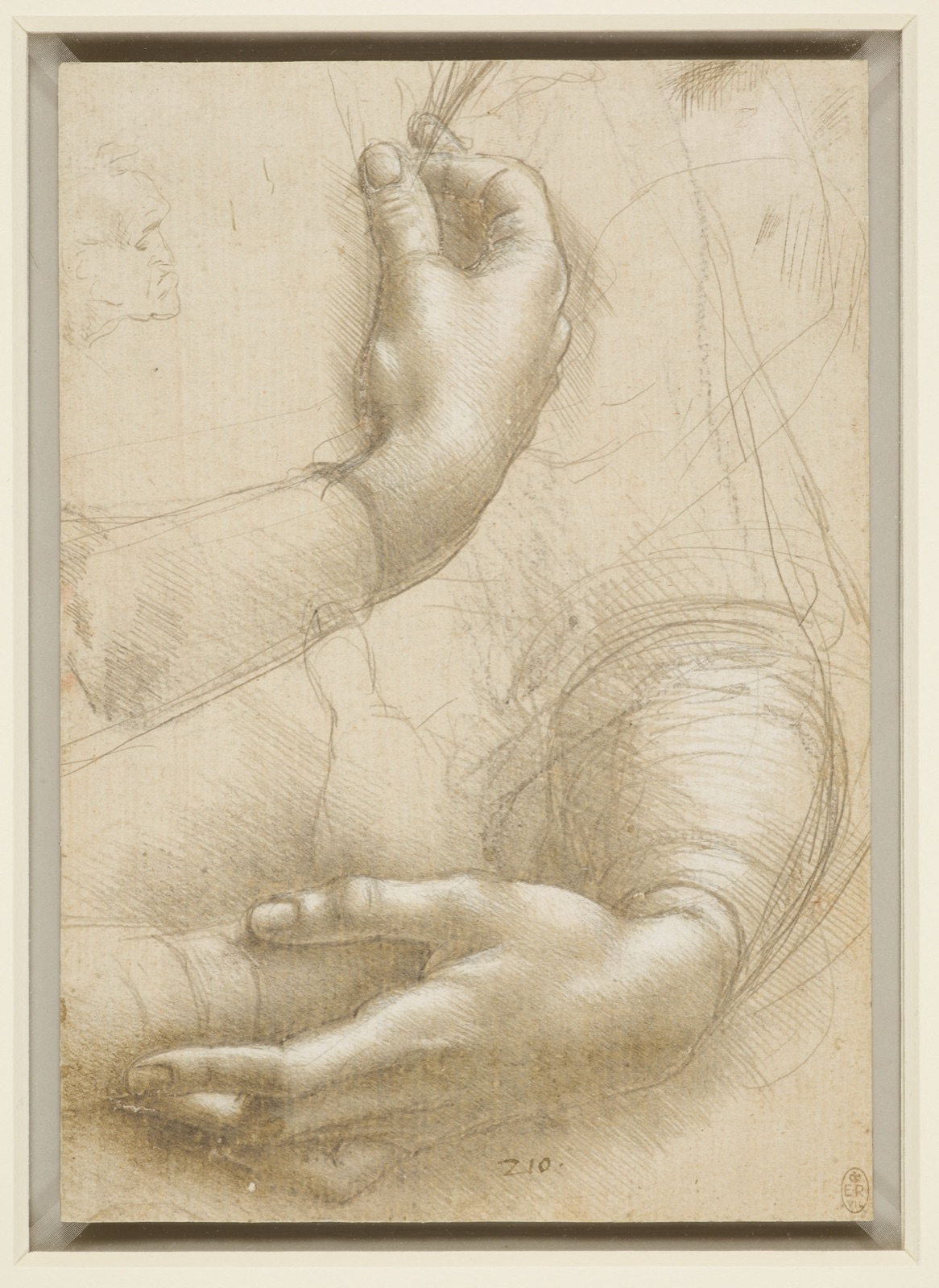Leonardo da Vinci - RCIN 912558, A study of a woman's hands c.1490 — Leonardo da Vinci