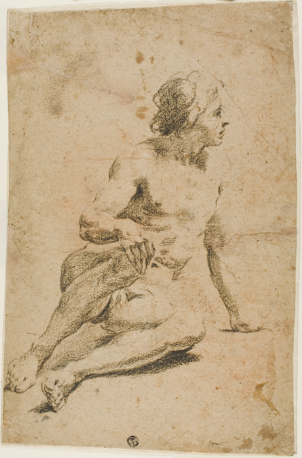 Seated Male Nude — Carlo Cignani