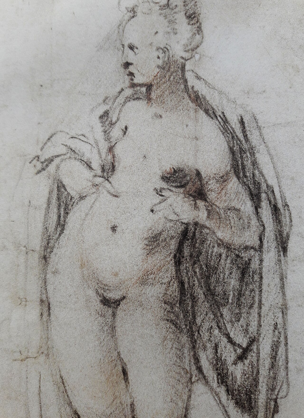 Spranger Study of a female nude (detail) 01 — Bartholomeus Spranger / Formerly attributed to Hendrik Goltzius