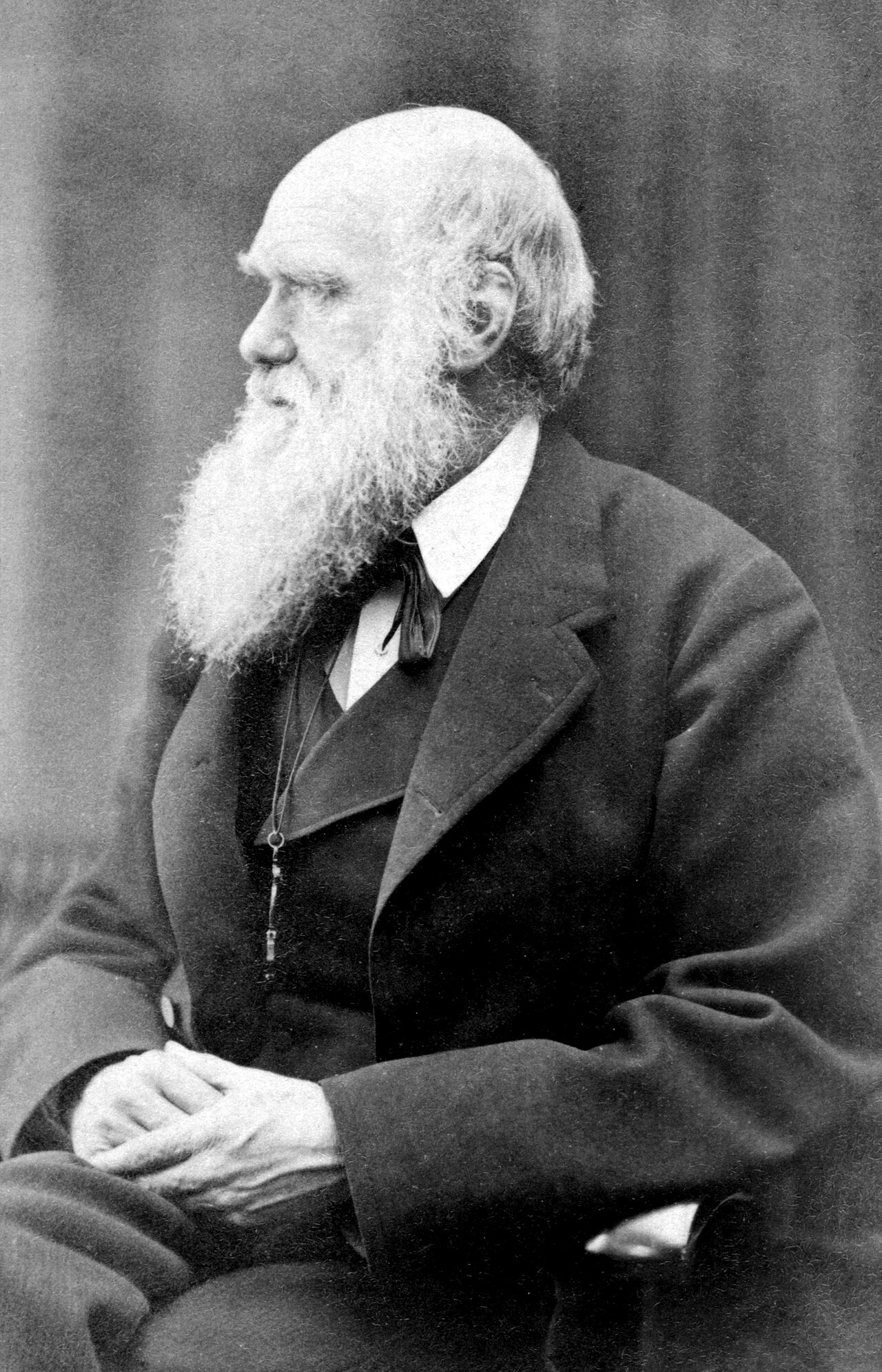 Charles Darwin photograph by Oscar Rejlander, circa 1871-b&w — Oscar Gustave Rejlander
