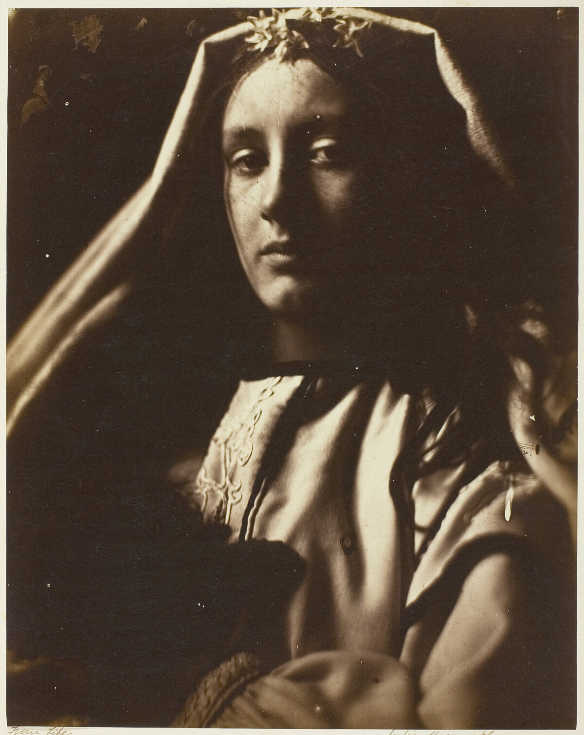 The Neopolitan — Julia Margaret Cameron