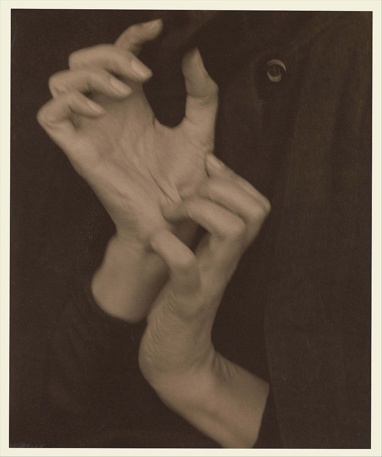 Georgia O'Keeffe — Hands MET DP232991 — Alfred Stieglitz