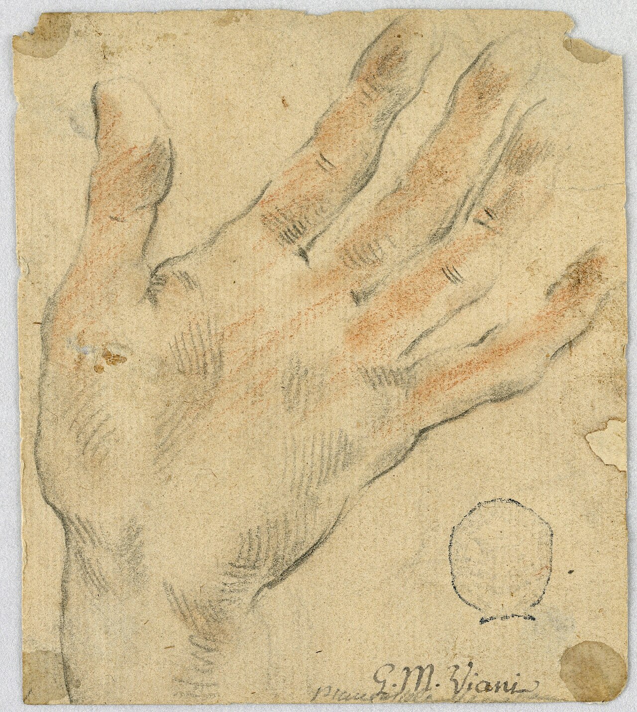 Drawing, Study- A left hand, 1650–1700 (CH 18118675) — Unbekannter Künstler